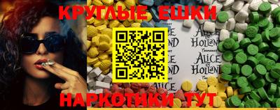 герыч Кингисепп