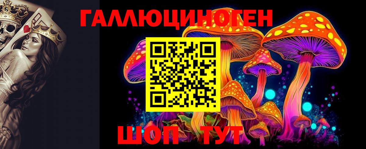 Псилоцибиновые грибы мицелий  Псилоцибиновые грибы мицелий  Вход с VPN  Краснодар 